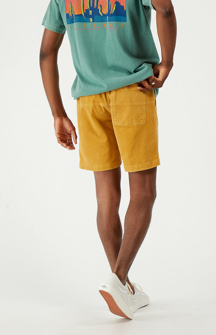 Big Bear Walk Shorts