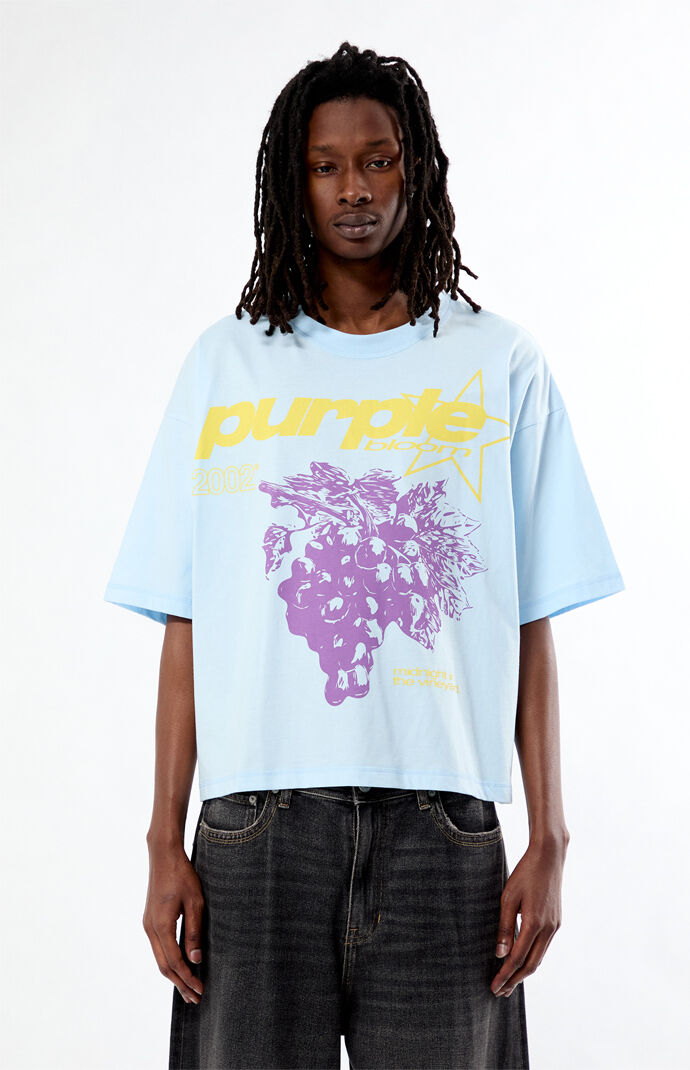 Pacsun Purple Cropped Boxy T-Shirt