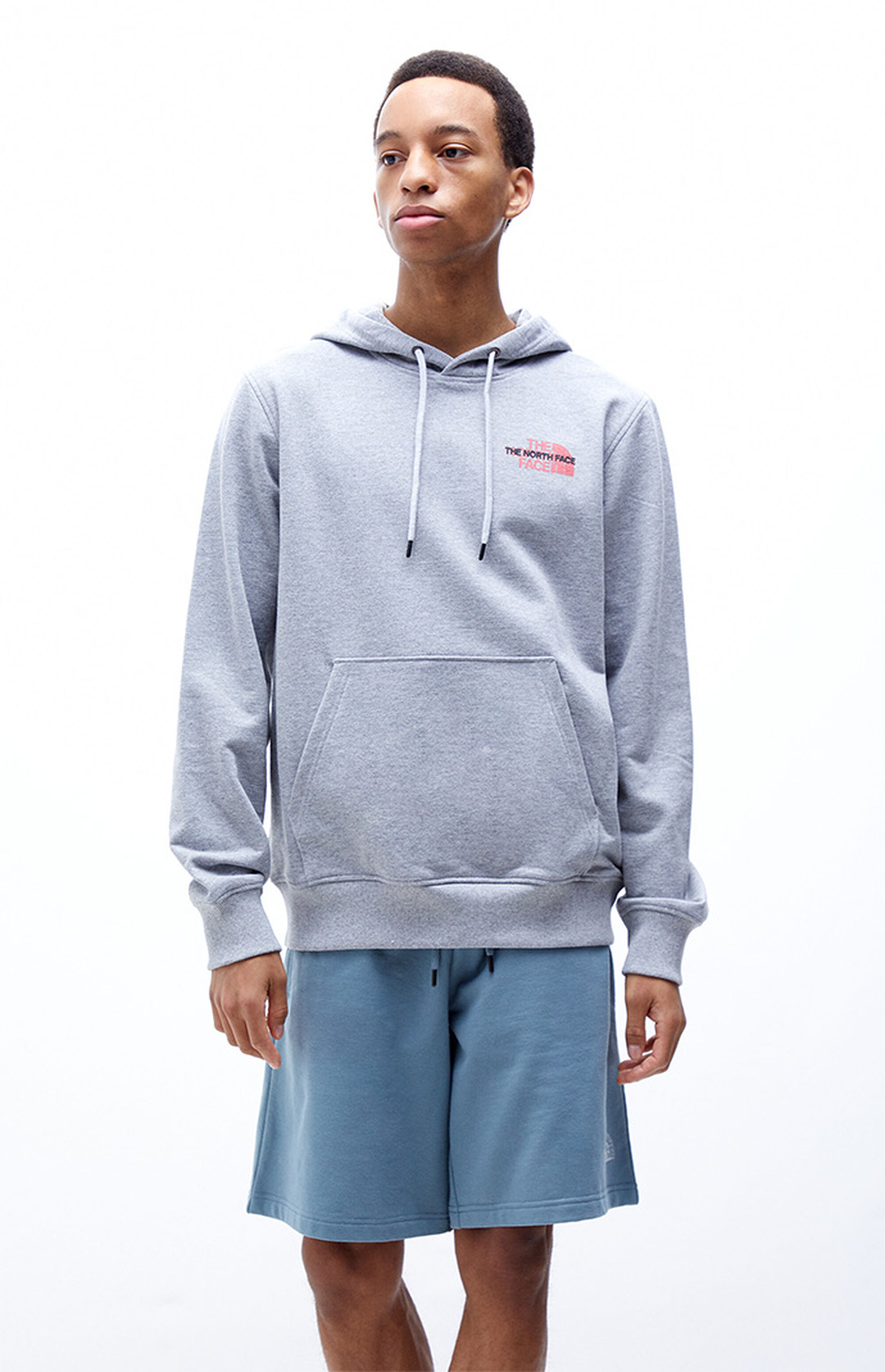 The North Face Coordinates Hoodie | PacSun
