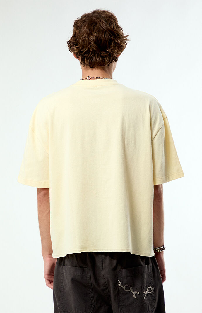 Pacsun Ain't Trippin Cropped Boxy T-Shirt | Pacsun
