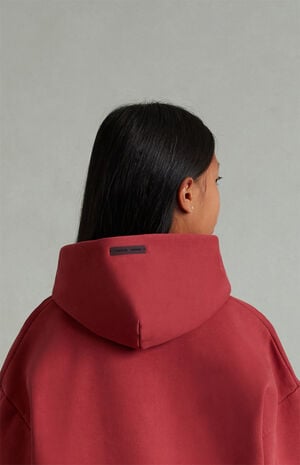 Kids Crimson Classic Hoodie image number 5