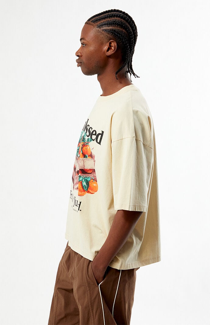 Pacsun Sunkissed Cropped Boxy T-Shirt