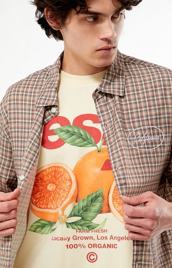 Pacsun Desire Cropped Boxy T-Shirt