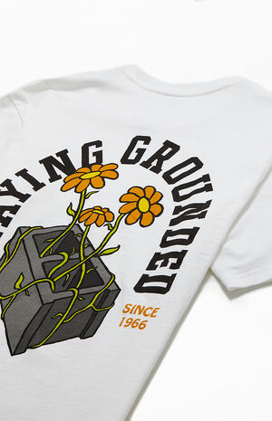 Vans Staying Grounded T-Shirt | PacSun