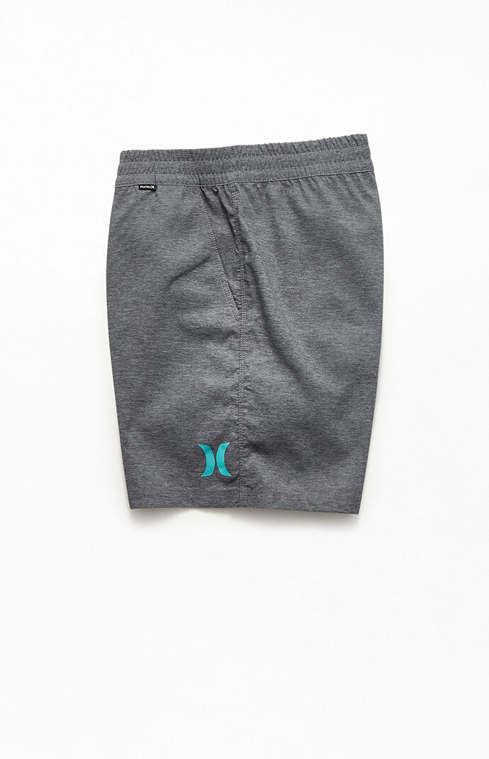 Cross Dye 17" Swim Trunks