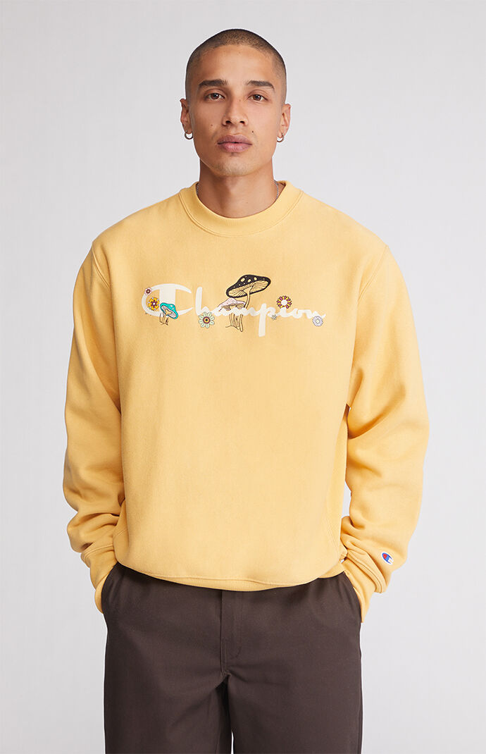 Pacsun discount champion hoodies