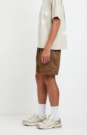 Brown Aaron Mesh Volley Shorts image number 3