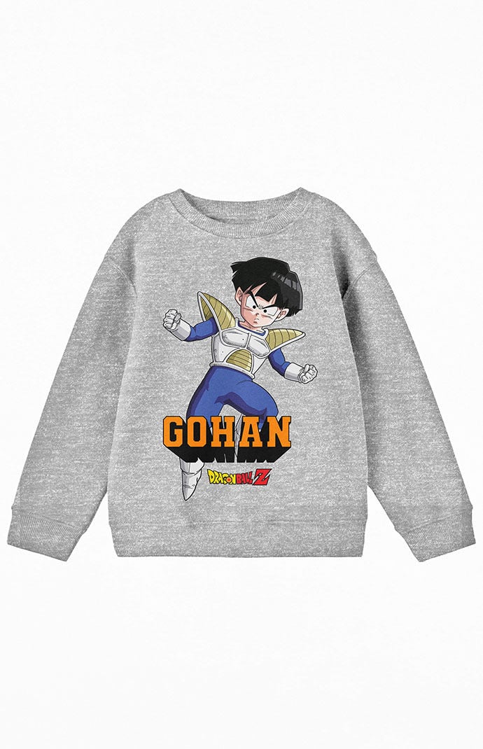Dragon ball z hoodie pacsun discount