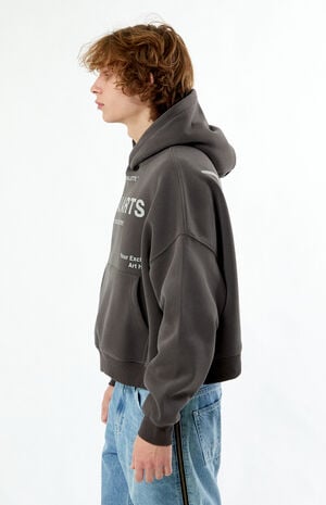 Regal Arts Cropped Hoodie image number 3