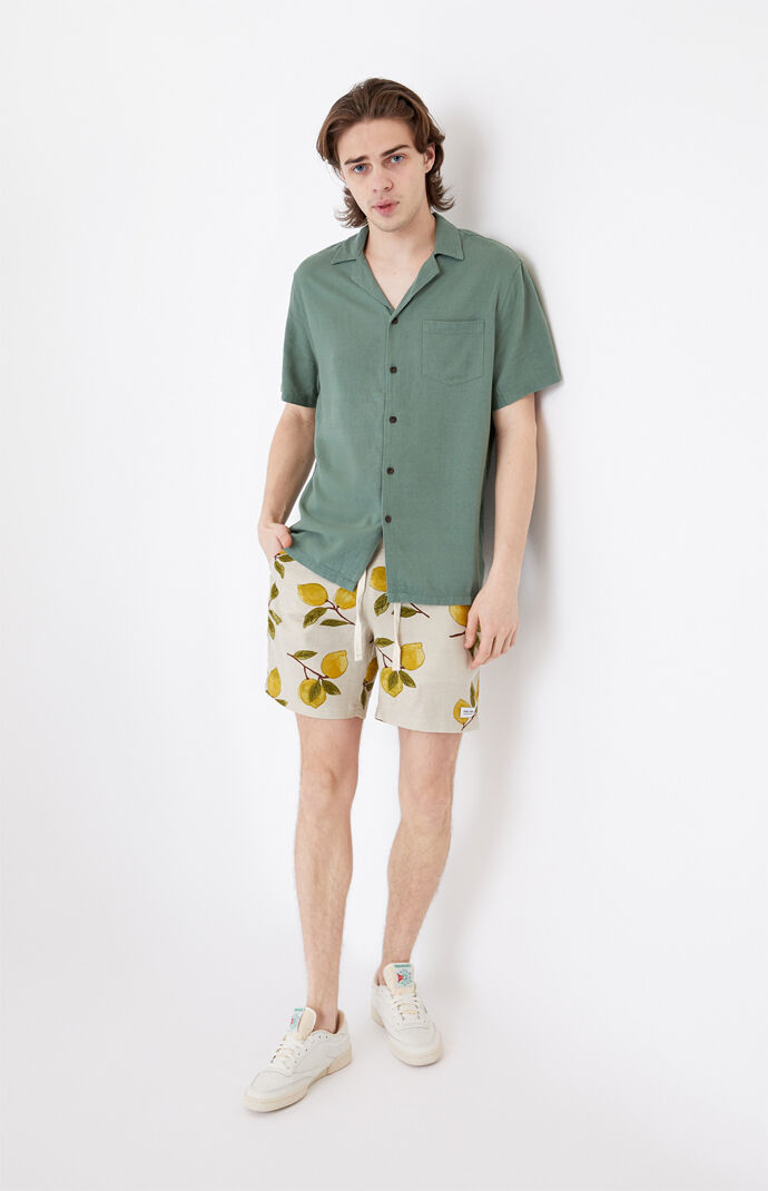 Brighton Button Up Shirt