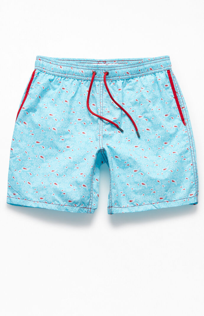 mr swim shorts