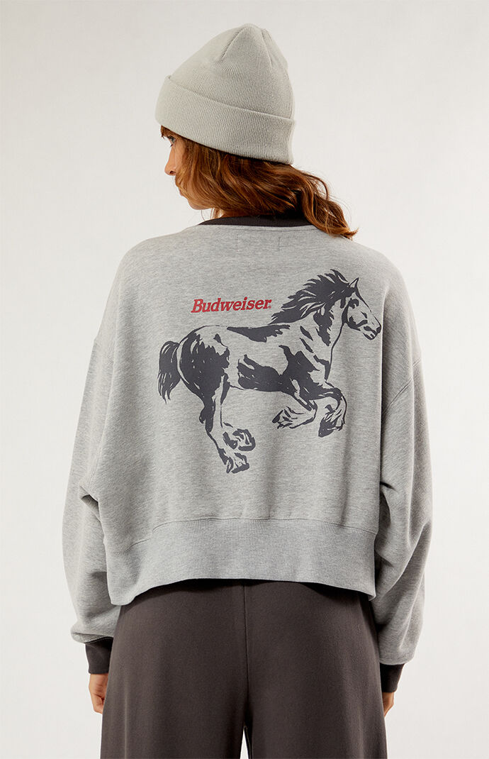 Pacsun pullover hot sale