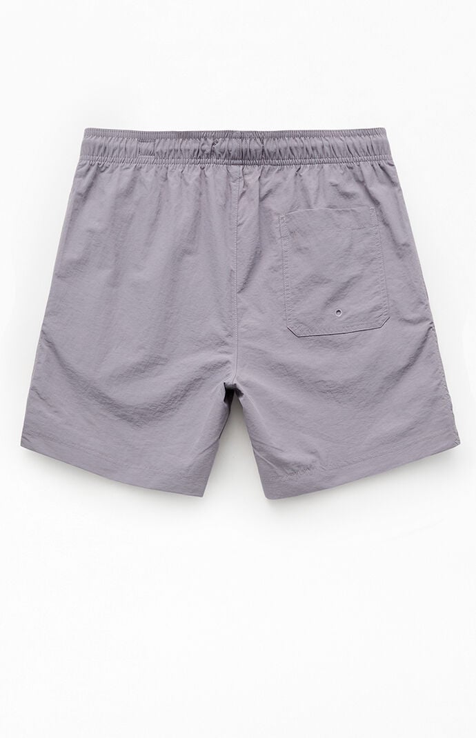 Pacsun Silver Collegiate 6.5" Swim Trunks