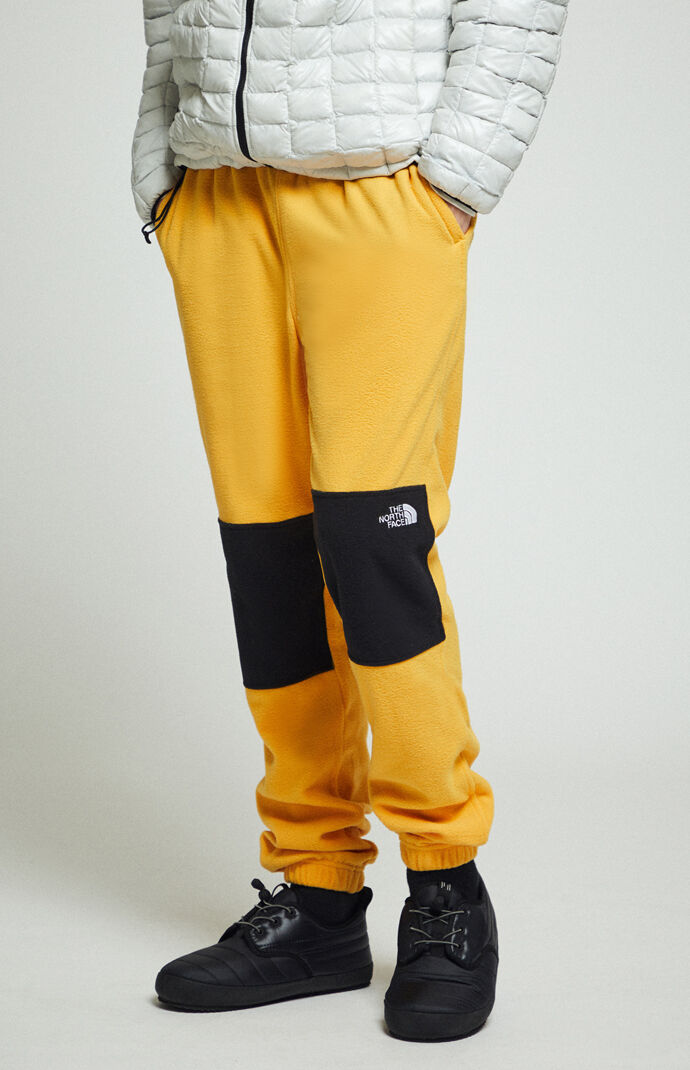 north face glacier pants womens