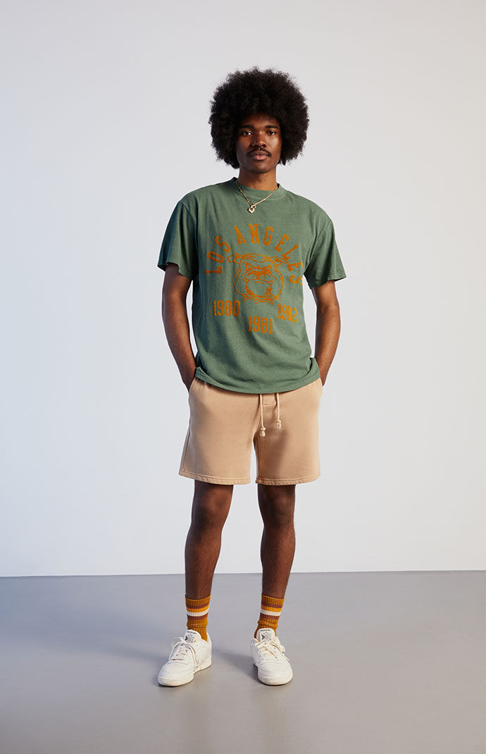 Pacsun sweat shorts sale