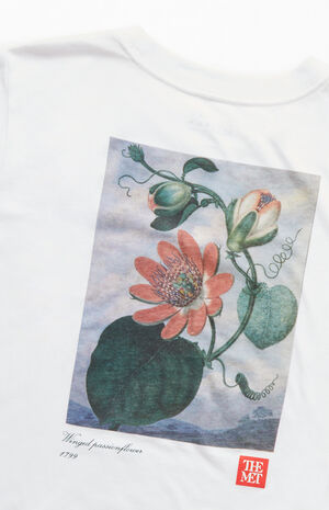 x PacSun Kids Sydenham Teak Edwards Winged Passionflower T-Shirt image number 4