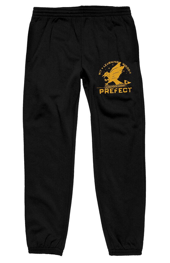 PacSun Harry Potter Ravenclaw Sweatpants
