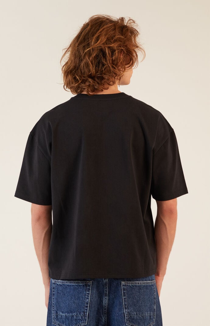 PacSun Lake Boxy Cropped T-Shirt | PacSun