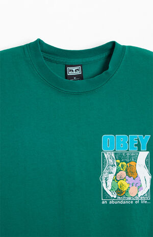 An Abundance Of Life Heavyweight T-Shirt image number 3