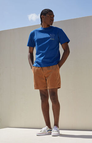 Brown Corduroy Volley Shorts image number 2