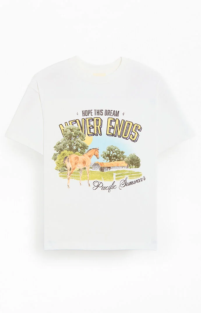 Pacsun Dream Never Ends T-Shirt