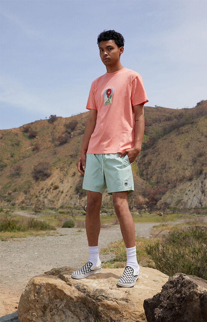 Mint Primary Volley Shorts