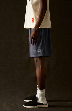 x PacSun Mesh Shorts image number 2