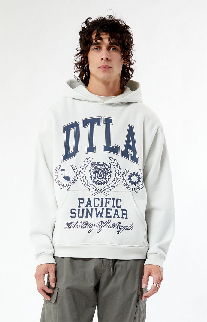 Graphic on sale hoodies pacsun