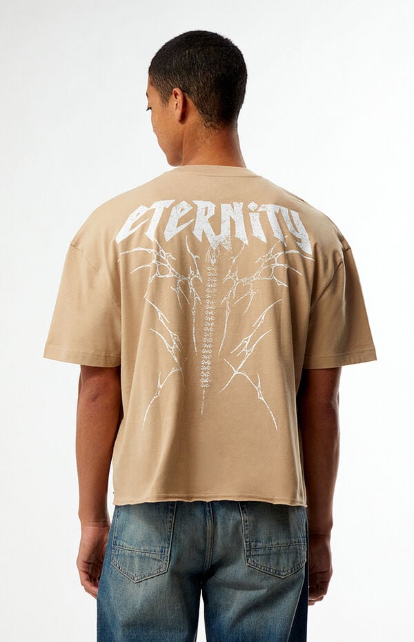 Pacsun Eternity Cropped Boxy T-Shirt