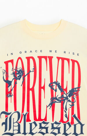 Forever Cropped Boxy T-Shirt image number 6