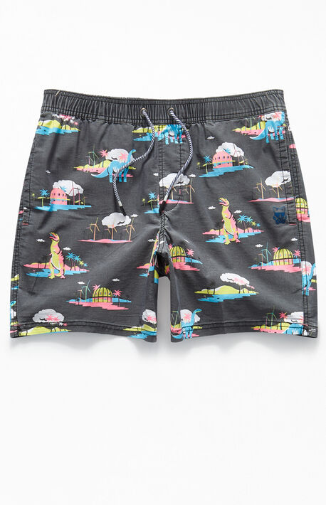 Desert 16" Swim Trunks