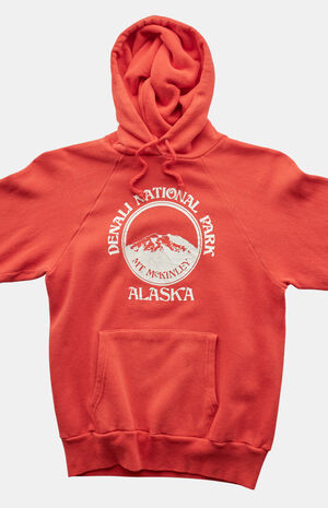80s Denali National Park Alaska Pullover Hoodie image number 3