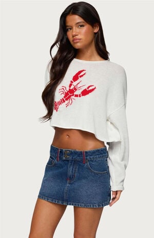 Lobster Babe Oversized Knit Top image number 2