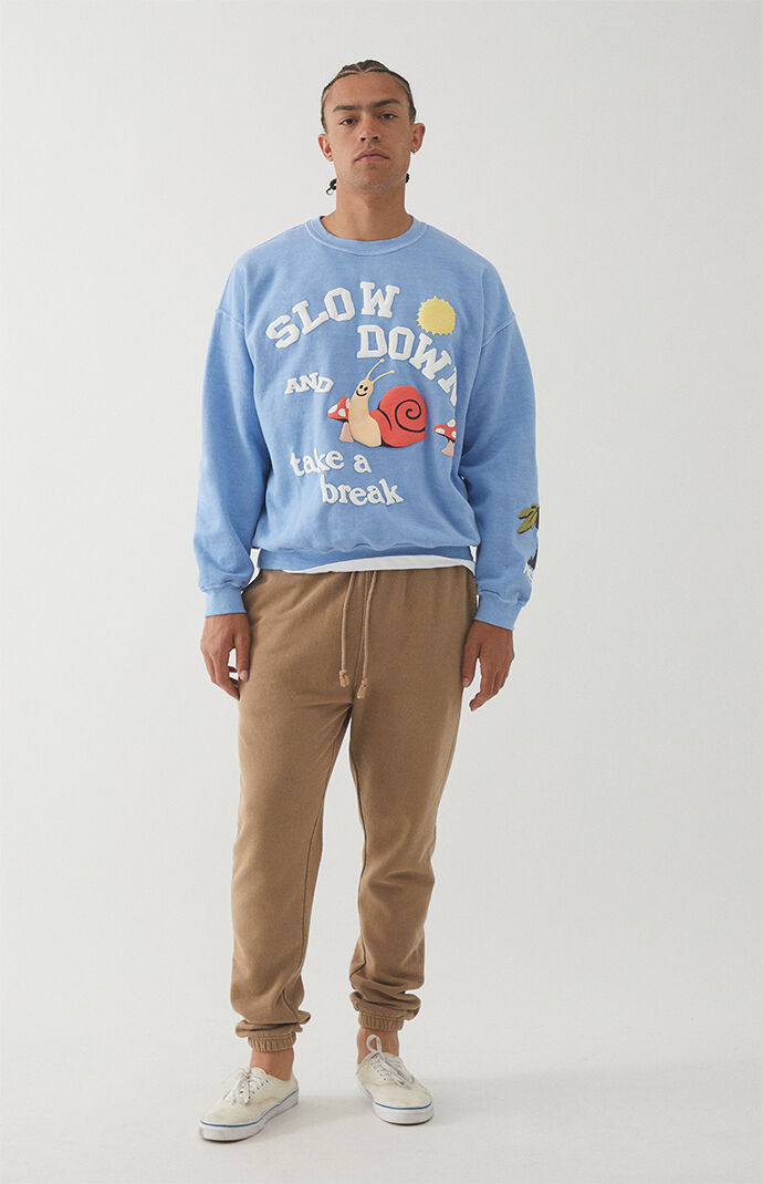 PacSun Slow Down Crew Neck Sweatshirt 