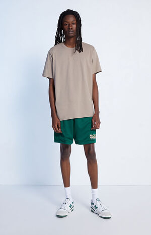 Pacific Sunwear Farmer's Market Shorts image number 4