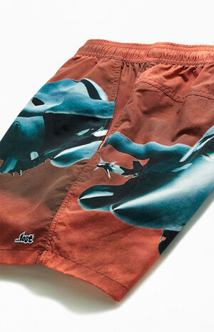 Top Dog 17" Beach Boardshorts image number 4