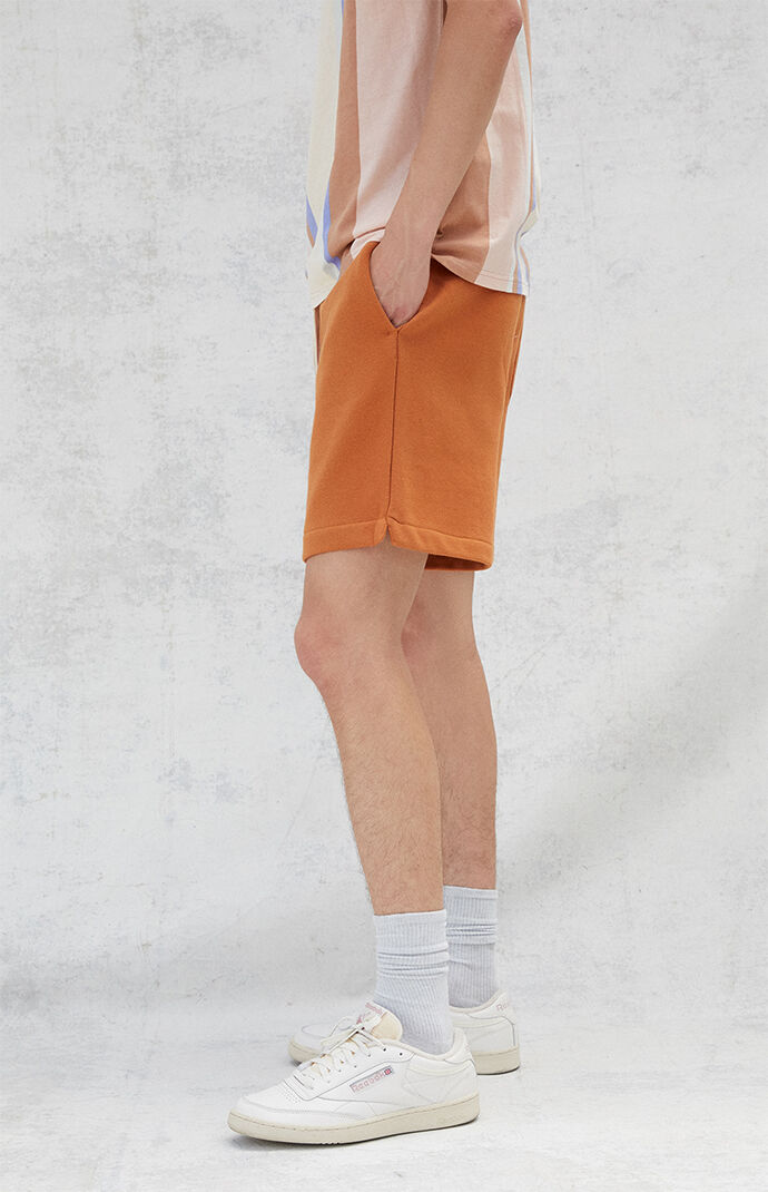 Brown Fleece Drawstring Volley Shorts
