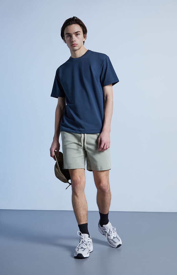 Pacsun volley shorts on sale