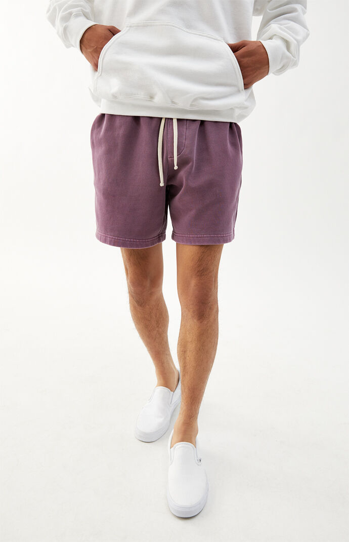 Berry Vintage Wash Fleece Volley Shorts
