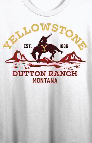 Yellowstone Protect the Land Cropped T-Shirt Yellowstone Protect the Land Cropped T-Shirt image number 2