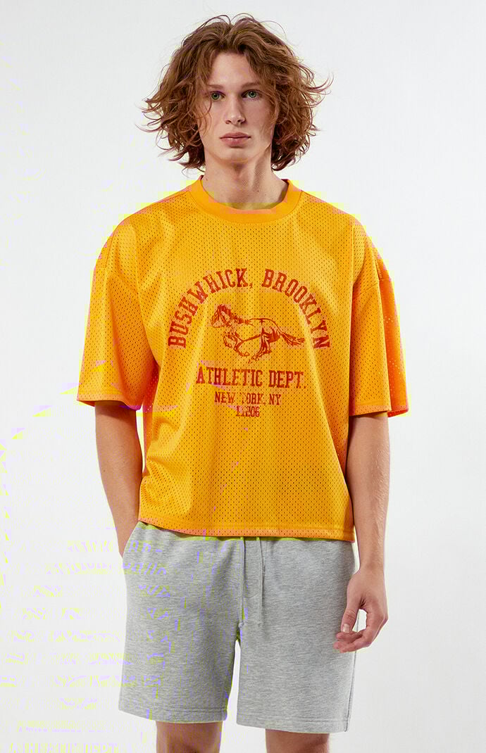 Pacsun Leagues Mesh Boxy Cropped Jersey T-Shirt | PacSun