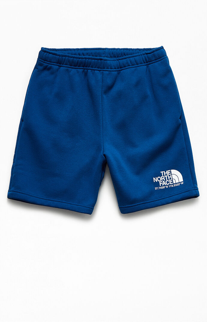 Coordinates Shorts