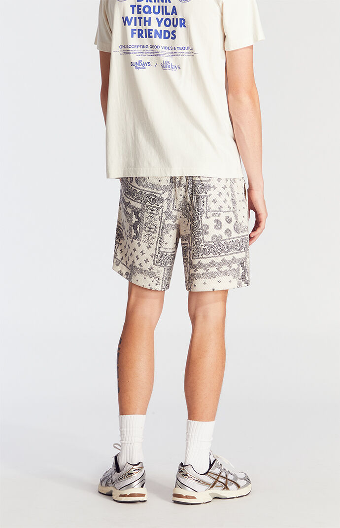 Pacsun Cream Aaron Paisley Mesh Volley Shorts