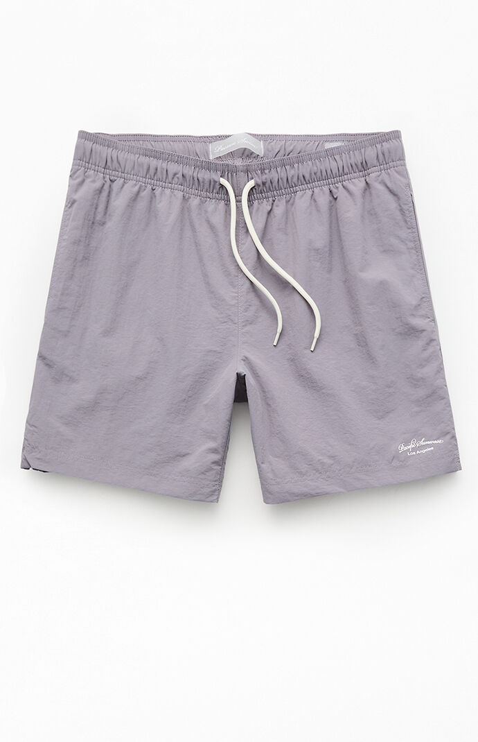 Pacsun Silver Collegiate 6.5" Swim Trunks
