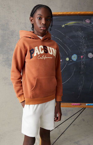 Brown Basic Logo Hoodie image number 2