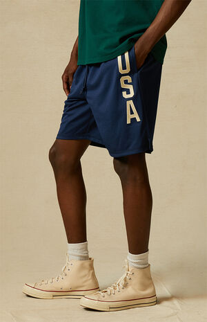 Team USA Mesh Basketball Shorts image number 3