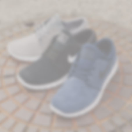 pacsun janoski