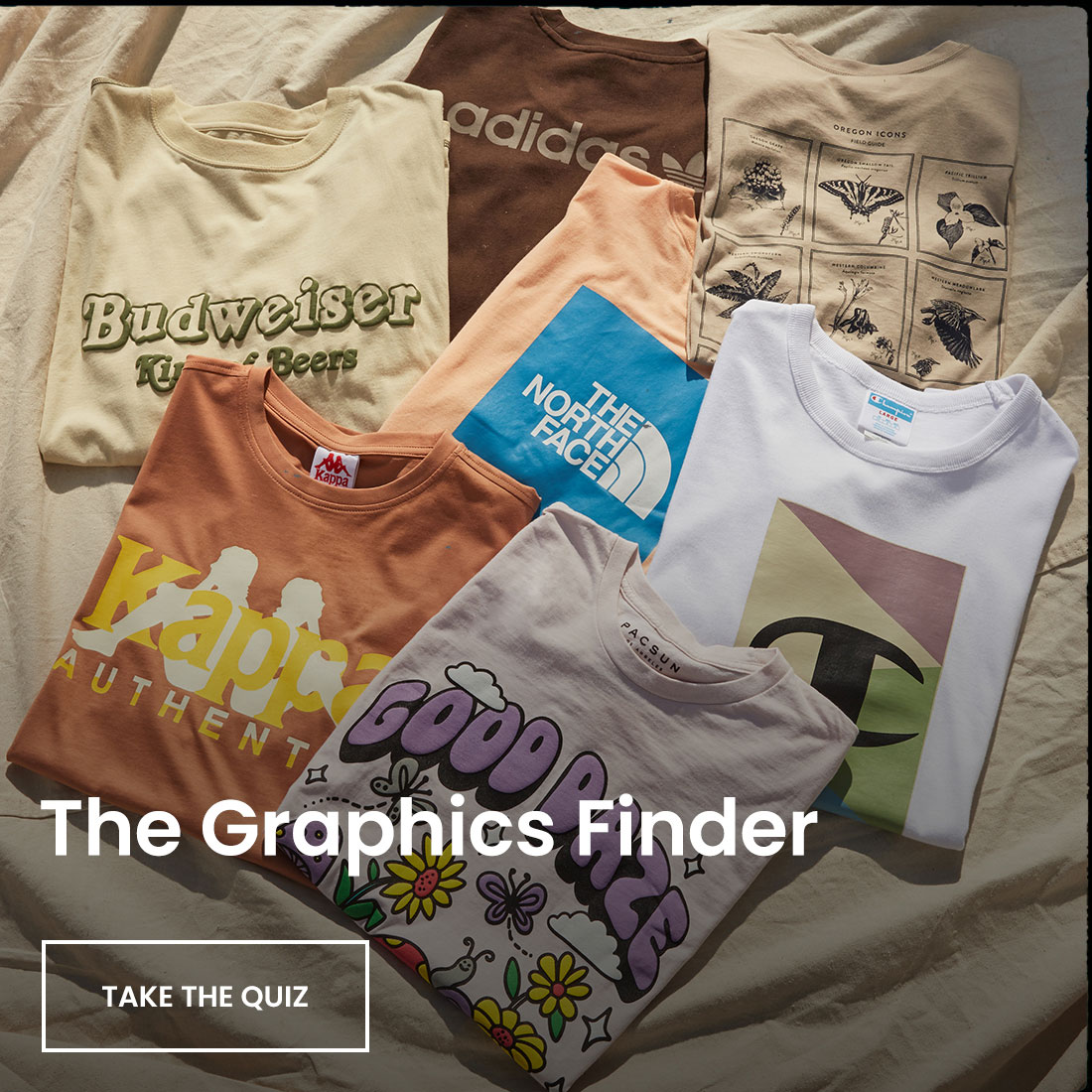 Graphic Tees for Men PacSun