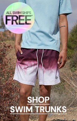 pacsun brixton trunks