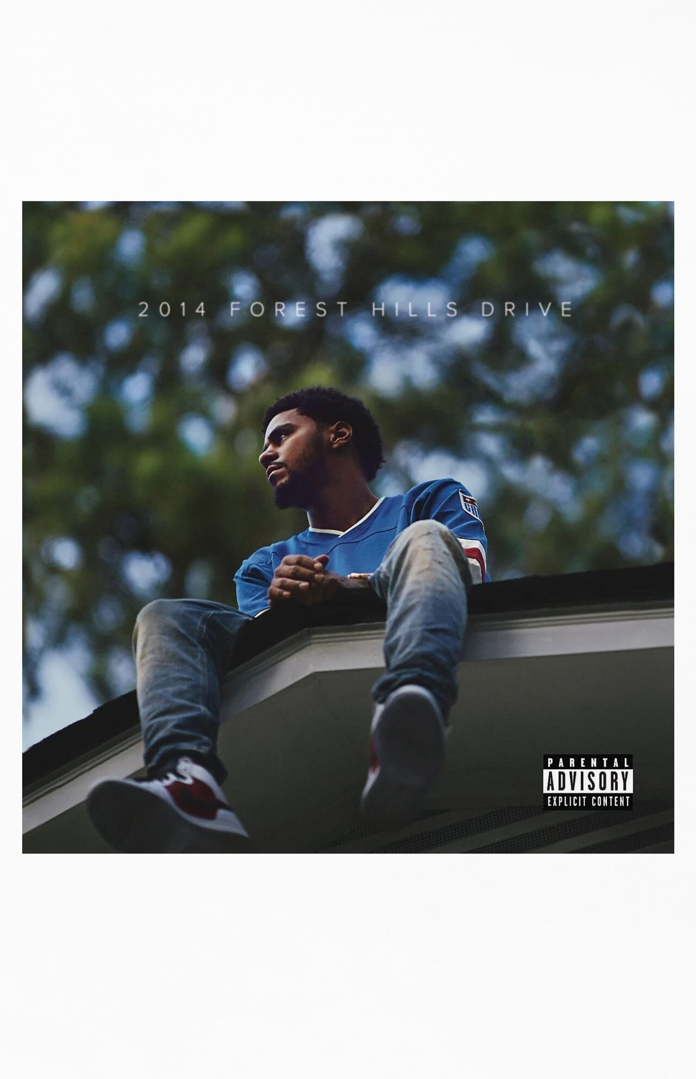 J. Cole 2014 Forest Hills Drive Vinyl Record | Pacsun